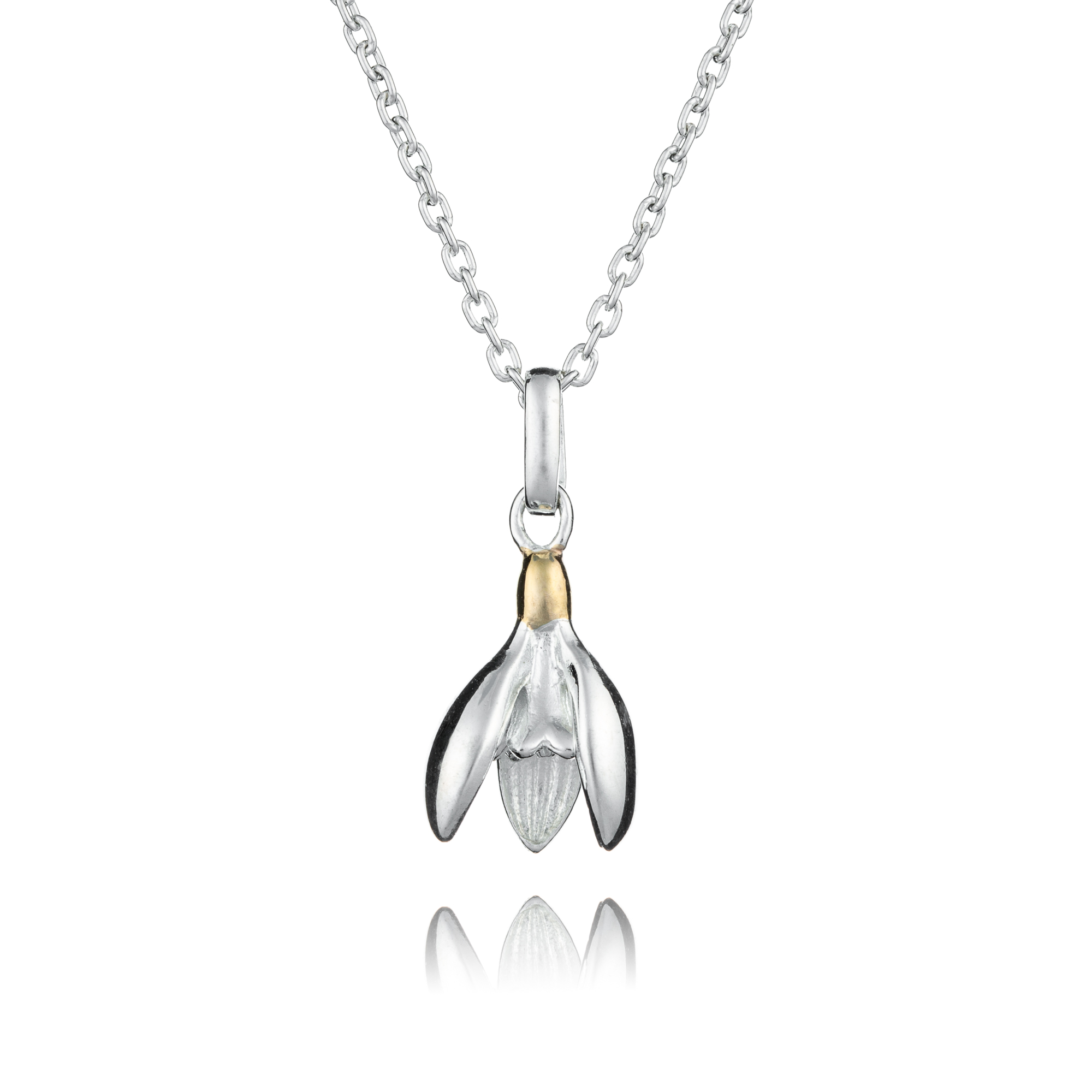 January Birth flower necklace - Inscripture - Personalised Jewellery