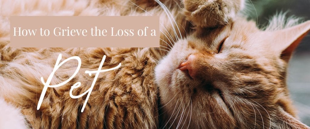 How to grieve the loss of a pet