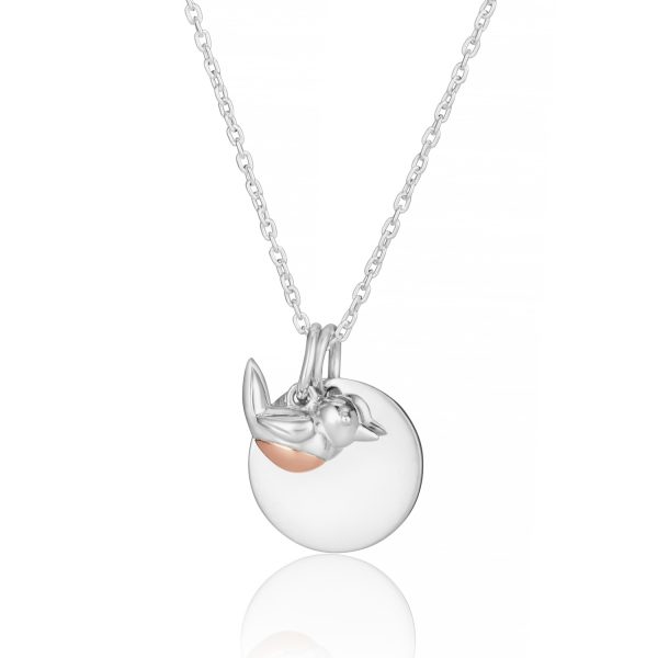 Disc Robin Handwriting Necklace - Memorial Jewellery - When Robins Appear - Inscripture