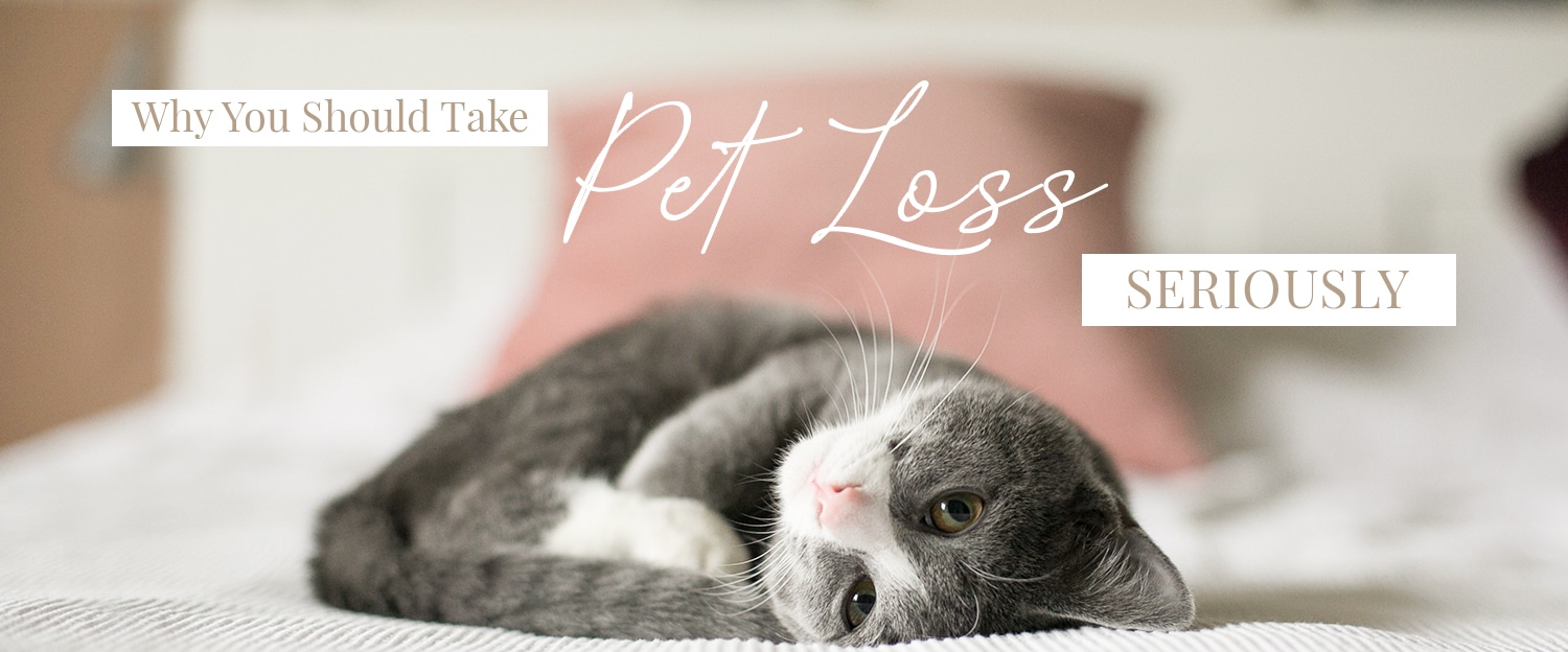 Why you should take pet loss seriously - Pet Memorial Jewellery - Inscripture