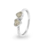 ew-r-340-sswg-transparent_- Ashes Ring-Ashes Jewellery