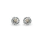 EV-E-203-Transparent_-Ashes Earrings-Ashes Jewellery