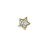 Small_Star_2000x2000px_White_Gold - Ashes Element - Ashes Locket - Ashes Jewellery