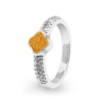 ew-r-350-sswg-orange_ -Ashes Ring - Ashes Jewellery