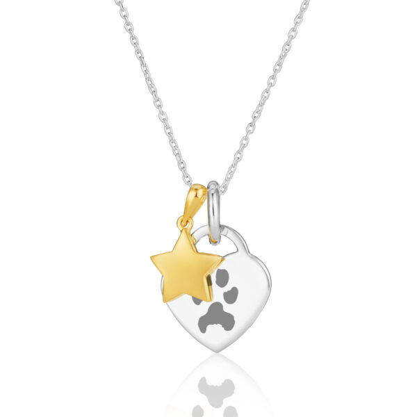 Two Tone Star Necklace_2569430322