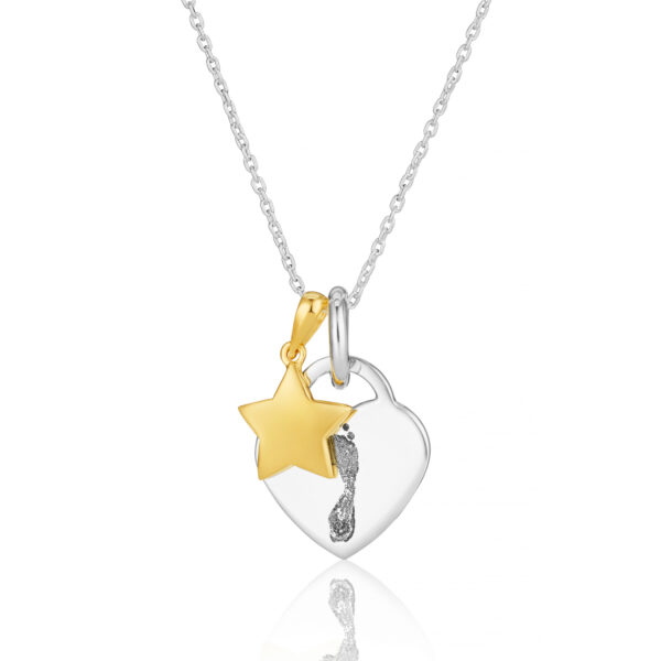Two Tone Star Necklace_38