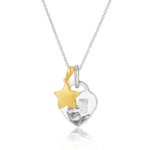 Two Tone Star Necklace_71945