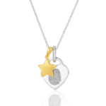 Two Tone Star Necklace_72163