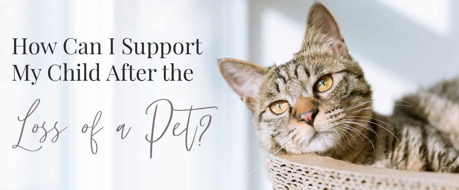 supporting a child after losing a pet