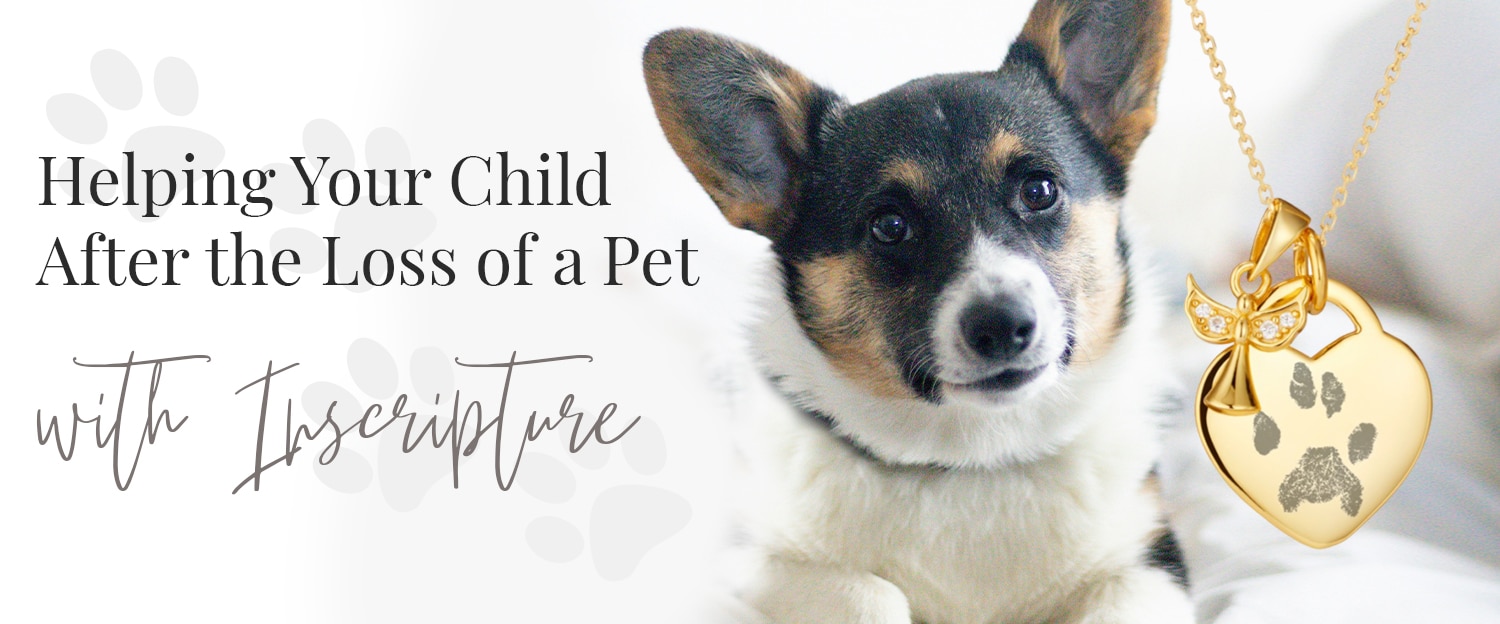 helping a child after losing a pet