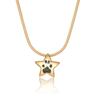 Gold Star Ashes Paw Print Necklace - Paw Print Jewellery - Memorial Jewellery - Inscripture