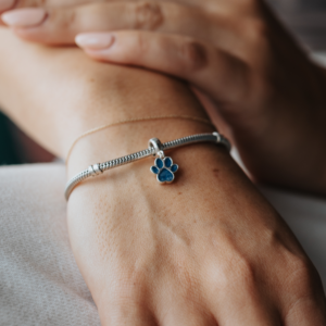 Paw Print Pandora Ashes Charm - Ashes into Jewellery
