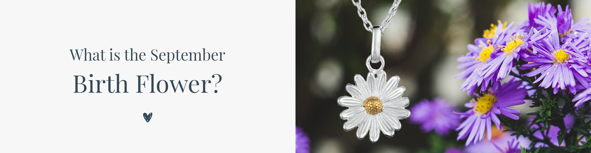 september birth flower necklace