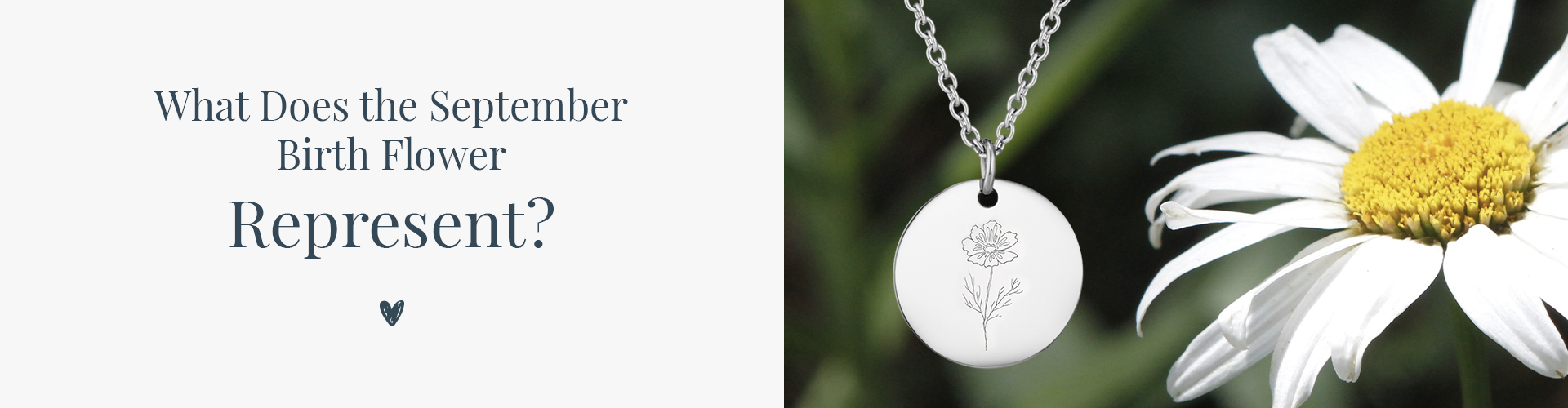 what does the september birth flower represent