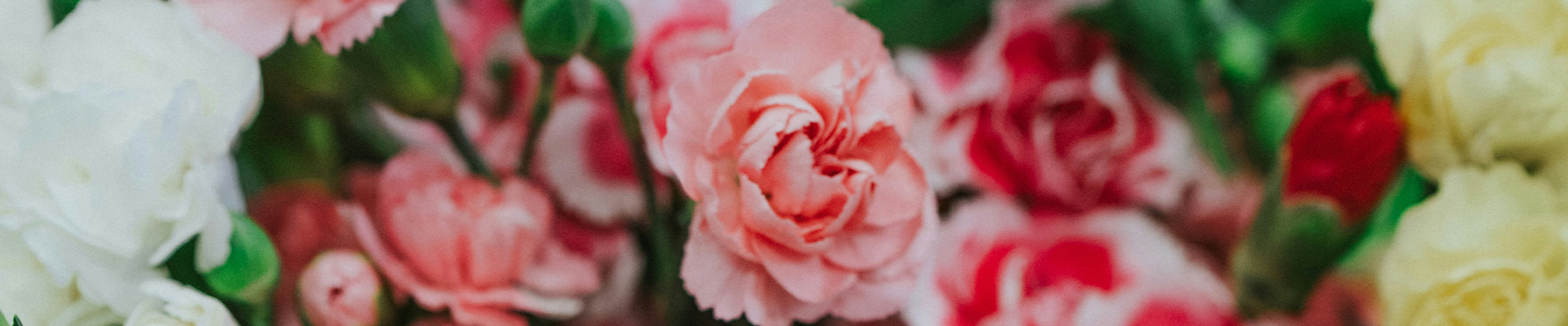 mothers day gift ideas