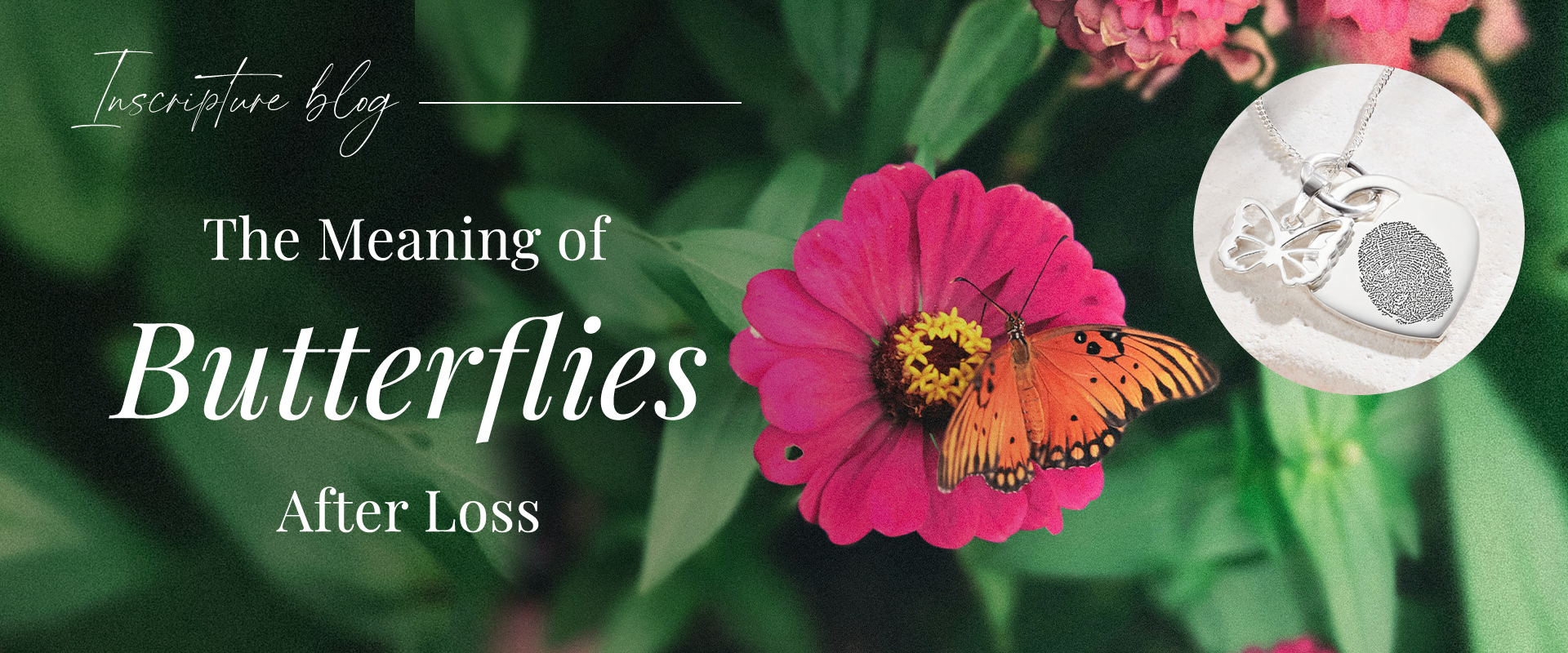the meaning of butterflies after loss