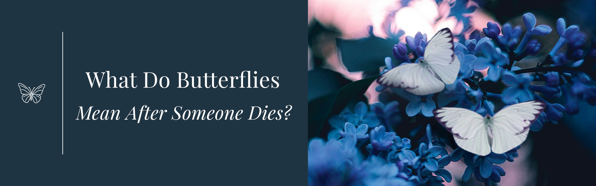 butterfly symbolism after death